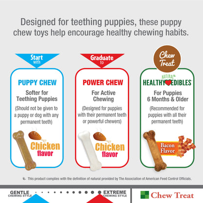 Nylabone Puppy Starter Kit Dog Chew Toys  Treat Chicken  Bacon, 1ea/SMall/Regular  Up To 25 Ibs. 3 ct