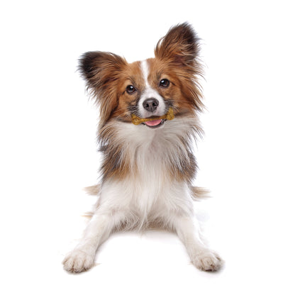 Nylabone Healthy Edibles AllNatural Long Lasting Chew Treats Variety Pack 3 count, 1ea/SMall/Regular  Up To 25 lb