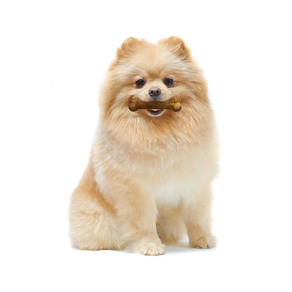 Nylabone Healthy Edibles AllNatural Long Lasting Chew Treats Variety Pack 3 count, 1ea/Petite  Up To 15 lb