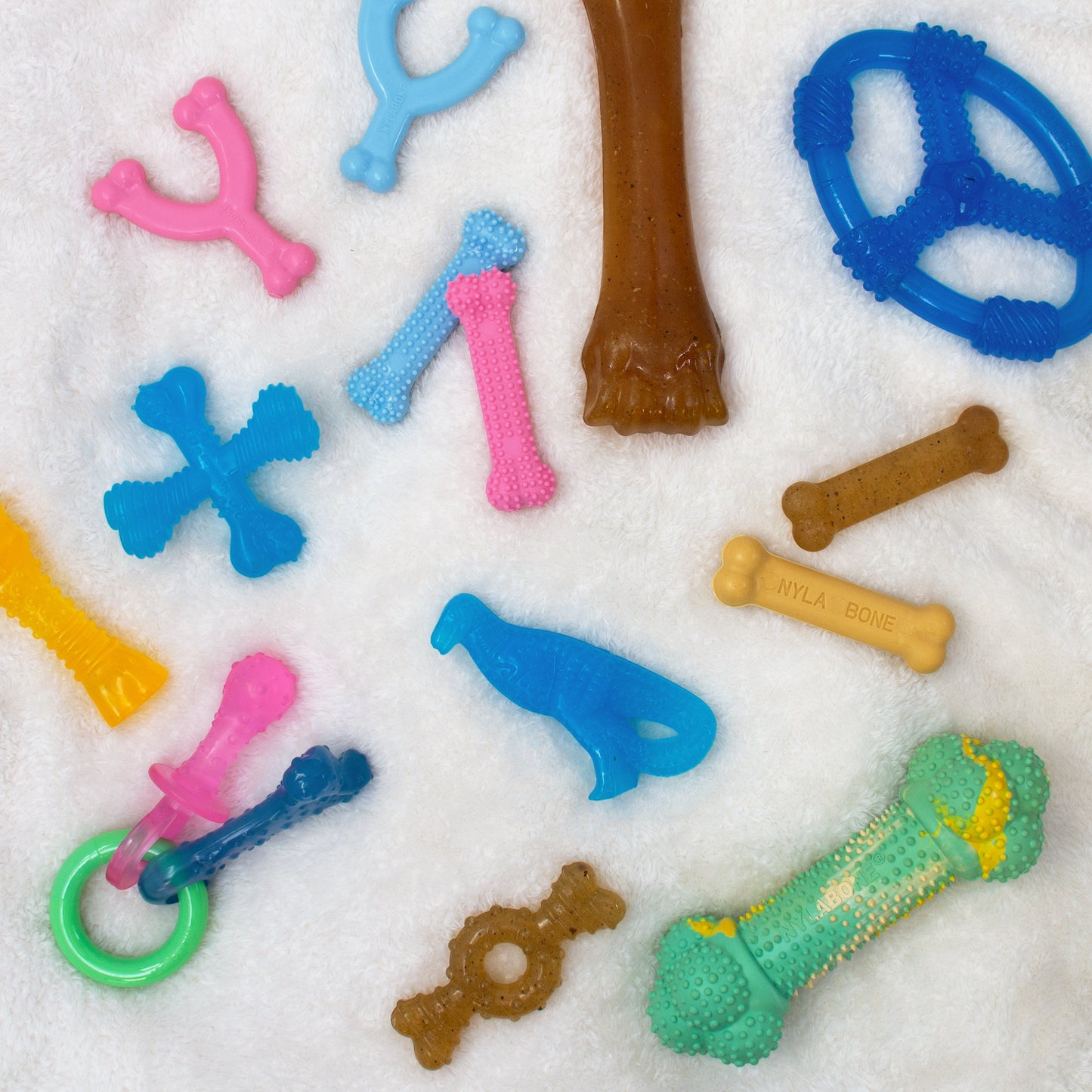 Nylabone Puppy Pacifier Teething Toy Bacon, 1ea/SMall/Regular  Up To 25 Ibs. 1 ct