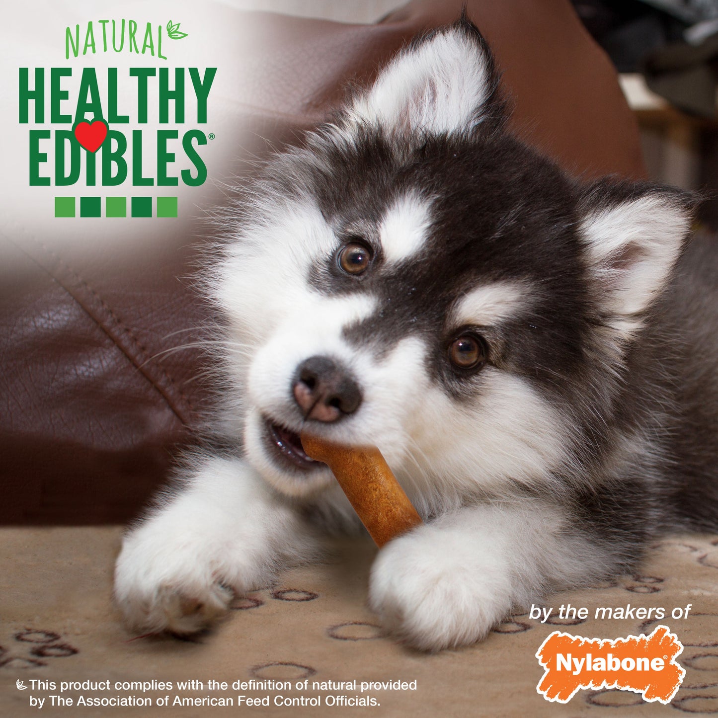 Nylabone Healthy Edibles AllNatural Long Lasting Puppy Chew Treats Turkey  Sweet Potato, 1ea/XS/Petite  Up To 15 Lbs. 4 ct