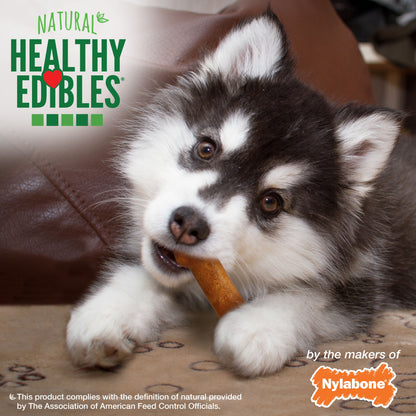 Nylabone Healthy Edibles AllNatural Long Lasting Puppy Chew Treats Turkey  Sweet Potato, 1ea/XS/Petite  Up To 15 Lbs. 4 ct