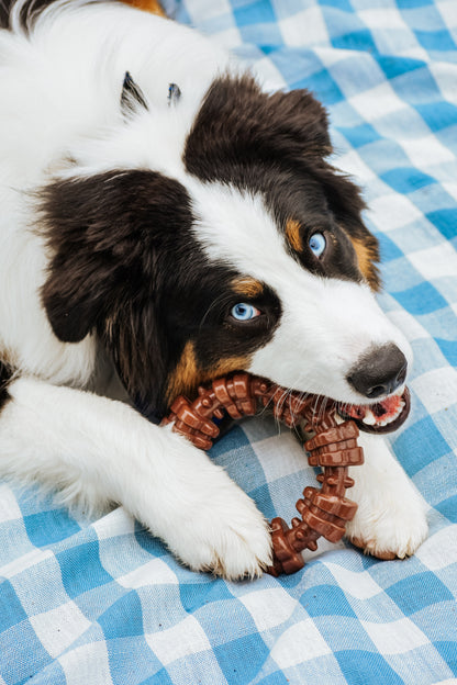 Nylabone Power Chew Textured Dog Ring Toy Flavor Medley, 1ea/XL/Souper  50 Lbs. 1 ct