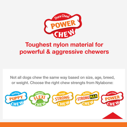 Nylabone Power Chew Ring Bone Dog Chew Toy Flavor Medley, 1ea/XS/Petite  Up To 15 Lbs. 1 ct