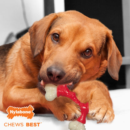 Nylabone Power Chew Double Bone Bacon Dog Chew Toy Bacon, 1ea/Medium/Wolf  Up To 35 Lbs. 1 ct