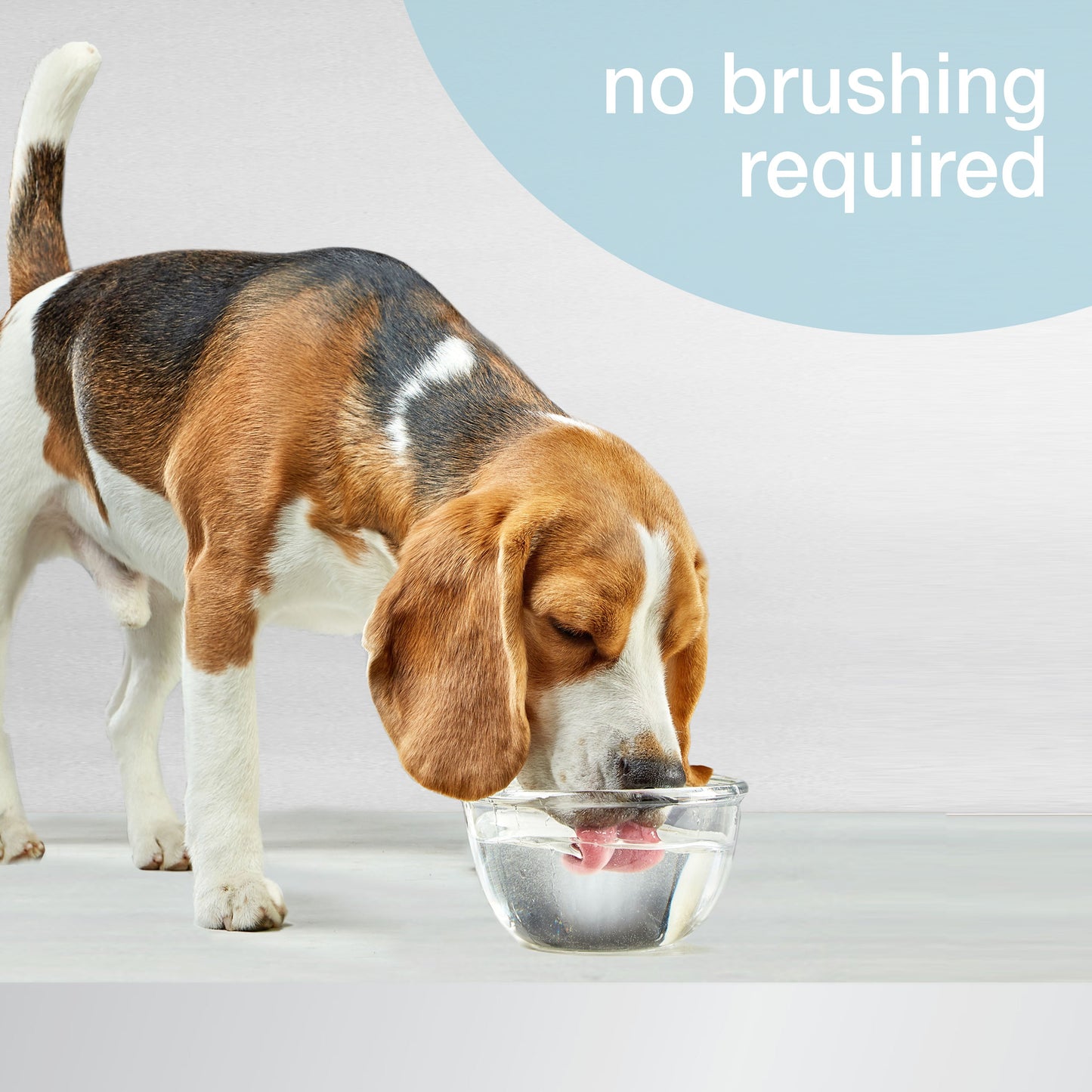 Nylabone Advanced Oral Care Water Additive for Dogs Original, 1ea/16 oz 1 ct