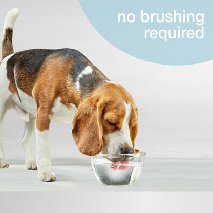 Nylabone Advanced Oral Care Water Additive for Dogs Original, 1ea/16 oz 1 ct