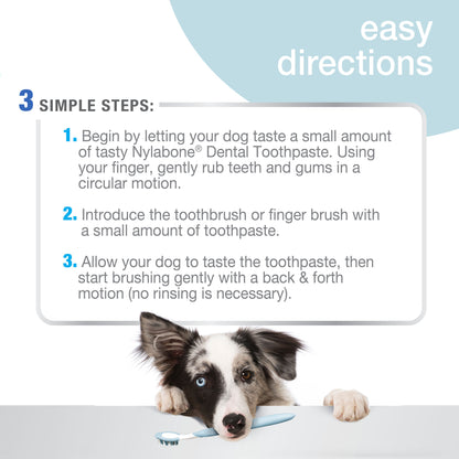 Nylabone Advanced Oral Care Tartar Control Dog Toothpaste Original, 1ea/2.5 oz 1 ct