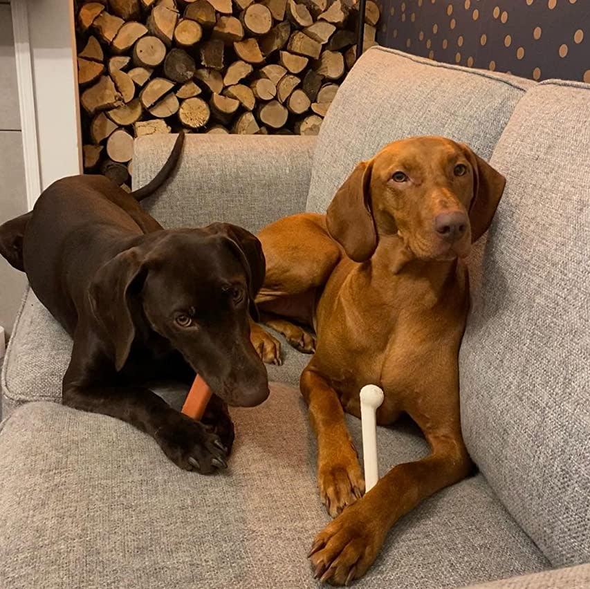 Nylabone Power Chew Bacon  Chicken Durable Dog Chew Toy Pack Chicken  Bacon, 1ea/Large/Giant  Up To 50 Lbs. 2 ct