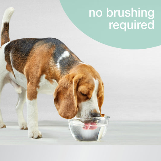 Nylabone Advanced Oral Care Dog  Cat Breath Freshener Peppermint, 1ea/16 oz 1 ct