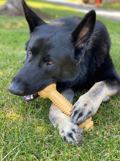 Nylabone Barbell Power Chew Durable Dog Toy Peanut Butter, 1ea/XXL/Monster  50 Lbs. 1 ct
