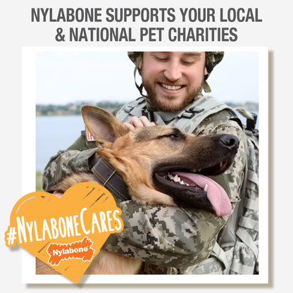 Nylabone Power Chew Antler Dog Chew Alternative Venison, 1ea/Medium/Wolf  Up To 35 Lbs. 1 ct
