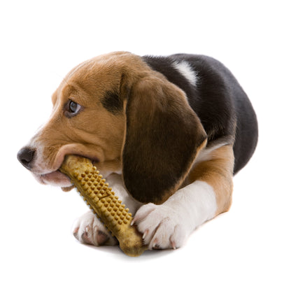 Nylabone Natural Nubz Chicken Dog Treats Chicken, 1ea/Large  30 Lbs. 2 ct