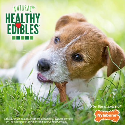 Nylabone Healthy Edibles WILD AllNatural Long Lasting Chew Treats Bison, 1ea/SMall/Regular  Up To 25 Ibs. 8 ct