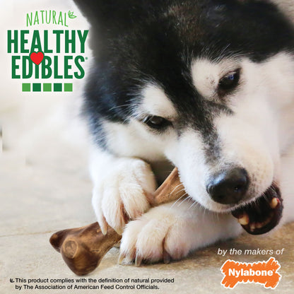 Nylabone Healthy Edibles WILD AllNatural Long Lasting Chew Treats Bison, 1ea/Large/Giant  Up To 50 Lbs. 1 ct