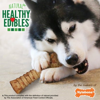 Nylabone Healthy Edibles AllNatural Long Lasting Chew Treats Turkey  Apple, 1ea/XL/Souper  50 Lbs. 1 ct