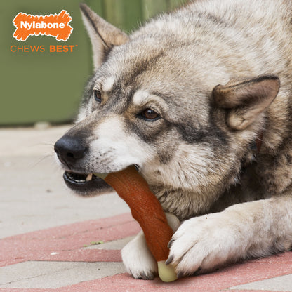 Nylabone Power Chew Marrow Bone Alternative Dog Chew Toy Beef, 1ea/Large/Giant  Up To 50 Lbs. 1 ct