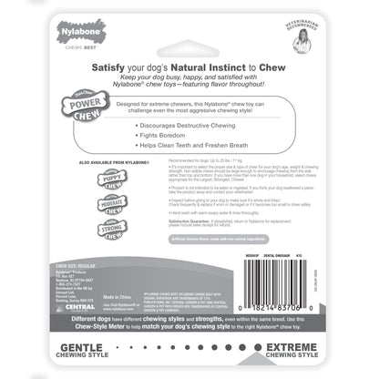 Nylabone Power Chew Dental Dinosaur Dog Toy Chicken, White, 1ea/SMall/Regular  Up To 25 Ibs. 1 ct