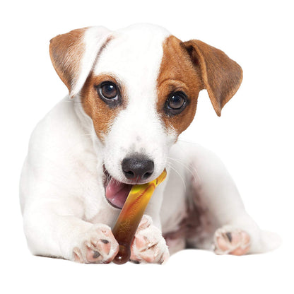 Nylabone Flavor Frenzy Power Chew Triple Pack Chili Cheese Dog, Popcorn  Cherry, 1ea/SMall/Regular  Up To 25 Ibs. 3 ct