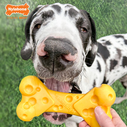 Nylabone Power Chew Cheese Dog Toy Cheese, 1ea/XL/Souper  50 Lbs. 1 ct