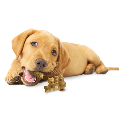 Nylabone Healthy Edibles AllNatural Long Lasting Puppy Chew Treats Lamb  Apple, 1ea/SMall/Regular  Up To 25 Ibs. 4 ct