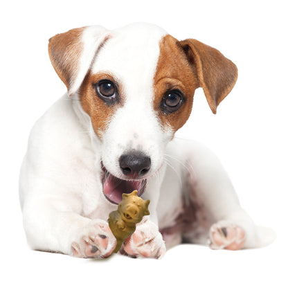 Nylabone Healthy Edibles AllNatural Long Lasting Puppy Chew Treats Lamb  Apple, 1ea/SMall/Regular  Up To 25 Ibs. 4 ct