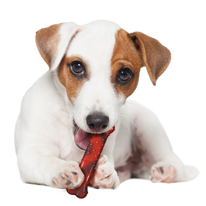 Nylabone Flavor Frenzy Power Chew Durable Dog Chew Toy Beef Jerky, 1ea/SMall/Regular  Up To 25 Ibs. 1 ct