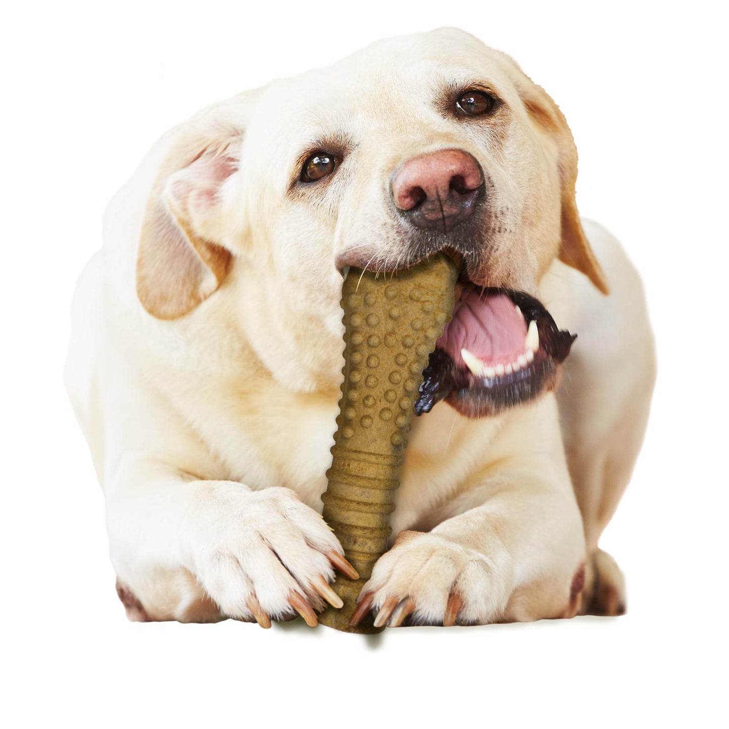 Nylabone Healthy Edibles AllNatural Long Lasting Chew Treats 1 Count, Peanut Butter, 1ea/XL/Souper  50 Lbs. 1 ct