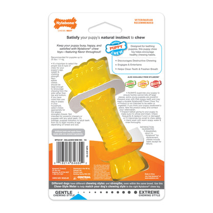 Nylabone Puppy Chew Freezer Dog Bone Lamb  Apple, 1ea/SMall/Regular  Up To 25 Ibs. 1 ct
