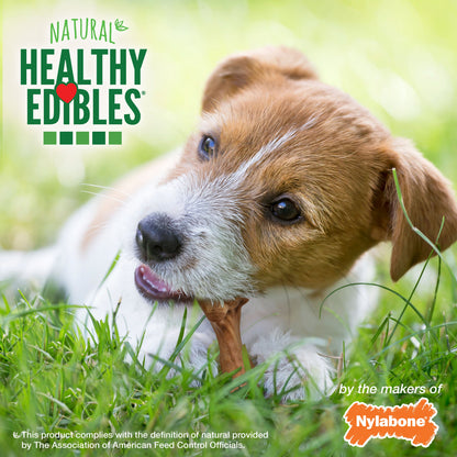 Nylabone Healthy Edibles Broth Bone AllNatural Long Lasting Chew Treats Ham, 1ea/SMall/Regular  Up To 25 Ibs. 4 ct