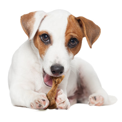 Nylabone Healthy Edibles Broth Bone AllNatural Long Lasting Chew Treats Ham, 1ea/SMall/Regular  Up To 25 Ibs. 4 ct