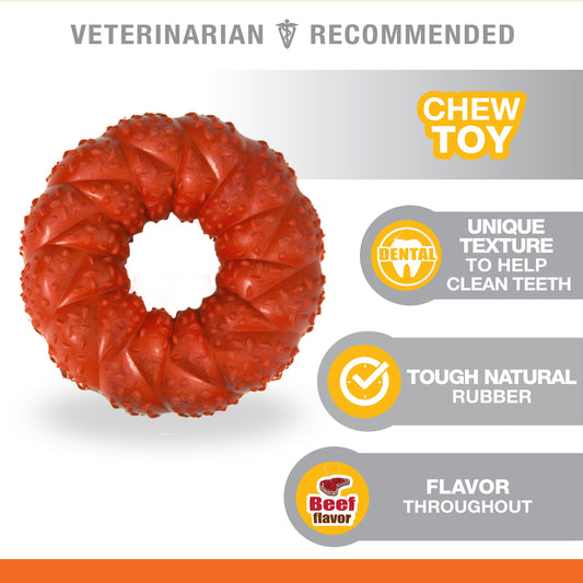 Nylabone Strong Chew Braided Dog Ring Chew Toy Beef, 1ea/Medium/Wolf  Up To 35 Lbs. 1 ct