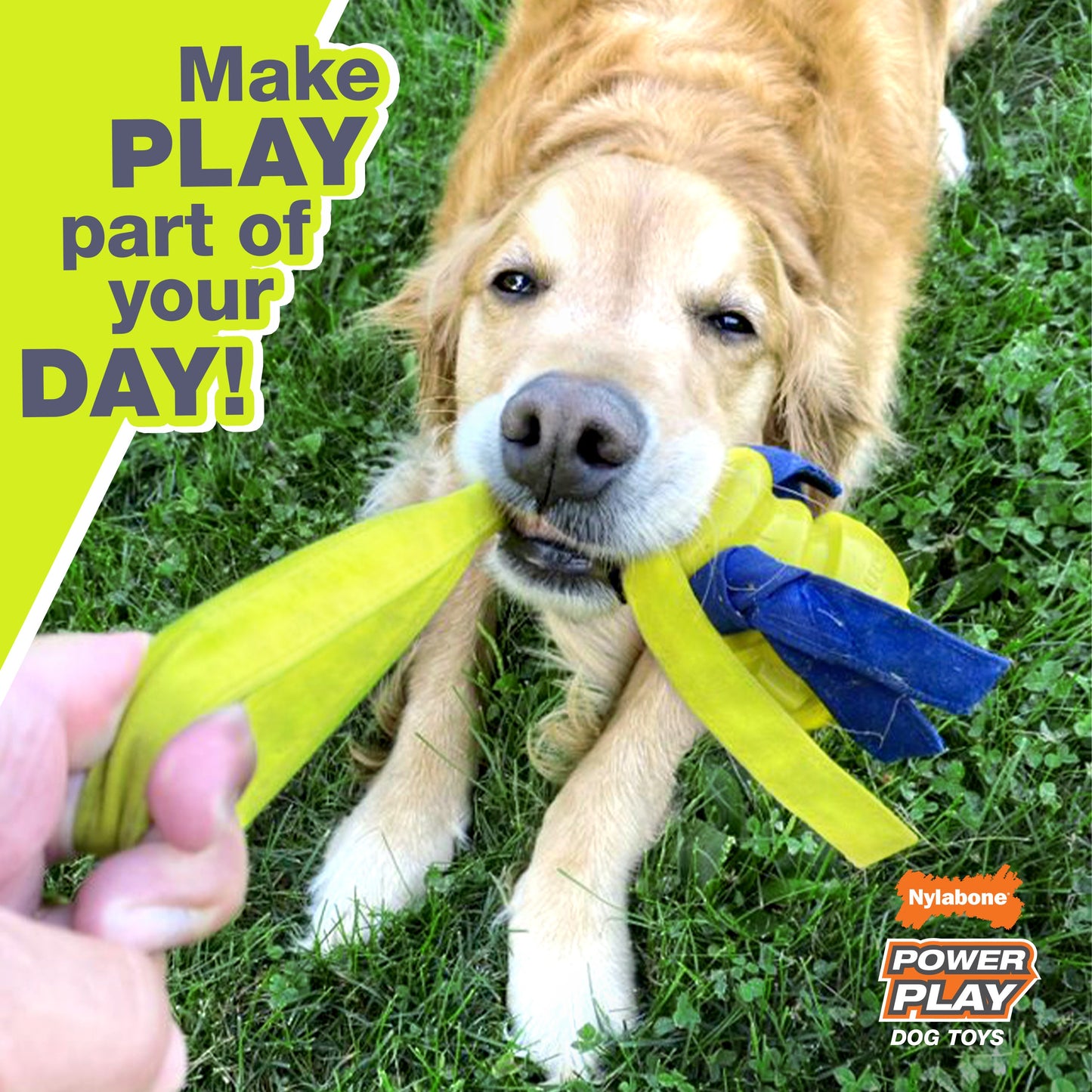 Nylabone Power Play Tennis Teddy Gripz Bear Dog Toy 1ea/Medium/Wolf  Up To 35 Lbs. 1 ct