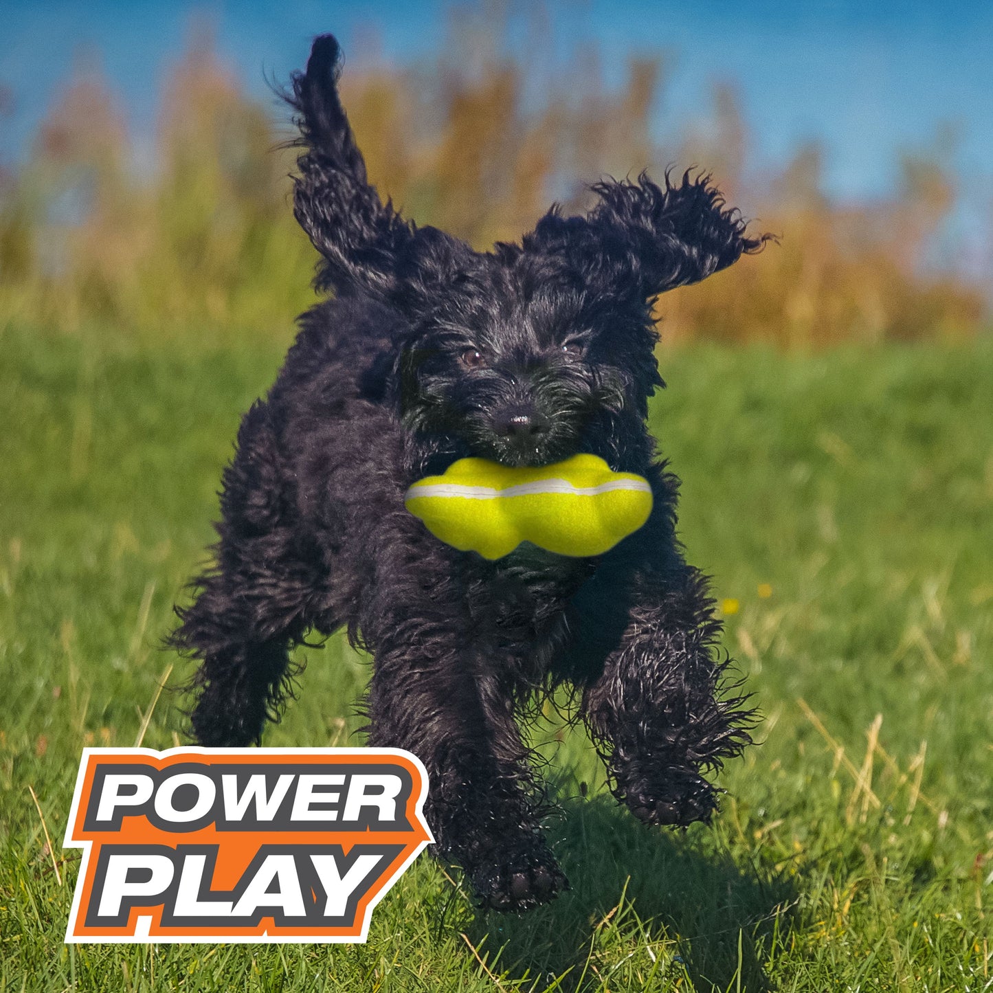 Nylabone Power Play Tennis Teddy Gripz Bear Dog Toy 1ea/Medium/Wolf  Up To 35 Lbs. 1 ct