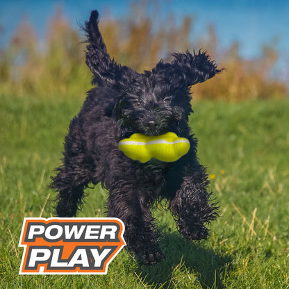 Nylabone Power Play Tennis Teddy Gripz Bear Dog Toy 1ea/Medium/Wolf  Up To 35 Lbs. 1 ct