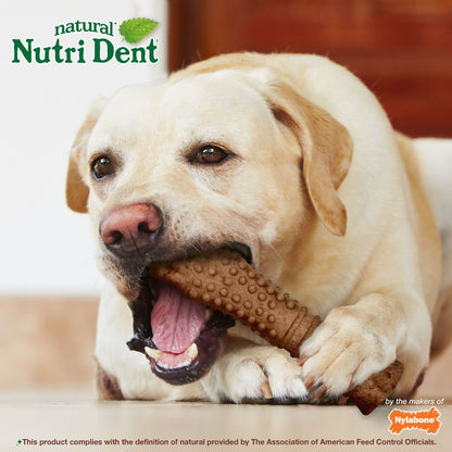 Nylabone Nutri Dent Filet Mignon Dog Dental Chews Filet Mignon, 1ea/XL/Souper  50 Lbs. 1 ct