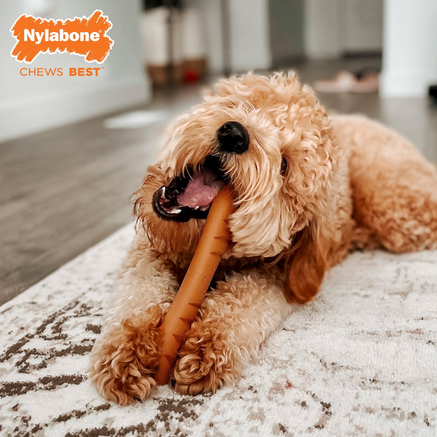 Nylabone Power Chew Baguette Dog Toy Roast Chicken, 1ea/Large/Giant  Up To 50 Lbs. 1 ct
