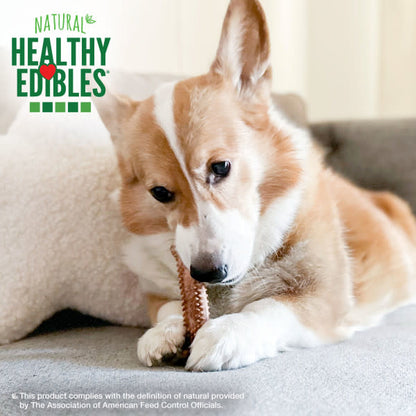 Nylabone Healthy Edibles Meaty Center AllNatural Long Lasting Chew Treats Beef, 1ea/SMall  Up To 30 Lbs. 12 ct