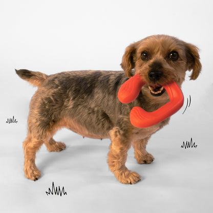 Nylabone Creative Play CShuu Dog Chase Toy Red, 1ea/SMall/Regular  Up To 25 Ibs. 1 ct