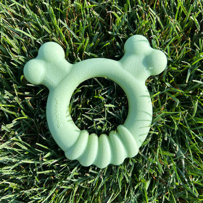 Nylabone Sensory Material Puppy Teething Ring Chicken, 1ea/SMall/Regular  Up To 25 Ibs. 1 ct