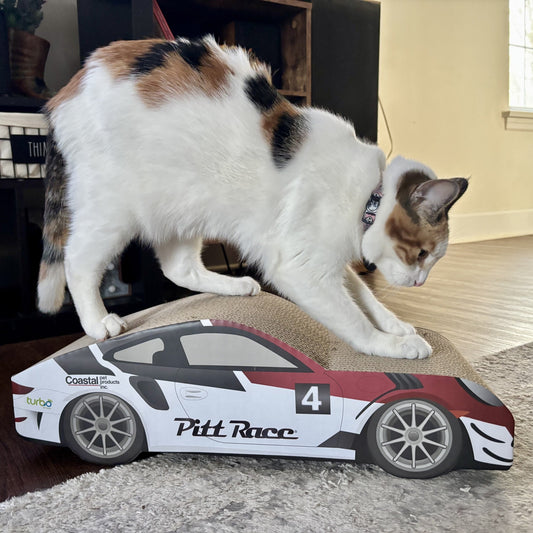 Turbo by Coastal Race Car Cat Scratcher