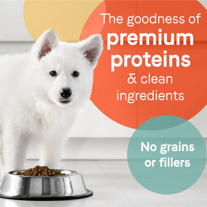 CANIDAE PURE Goodness Grain-Free LID Dry Puppy Food Real Salmon & Sweet Potato 22lb