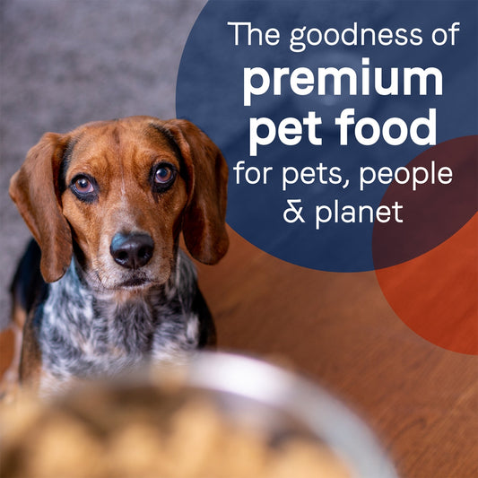 CANIDAE PURE Goodness Grain-Free LID Canned Dog Food Elements Formula w/Lamb, Turkey & Chicken 13oz