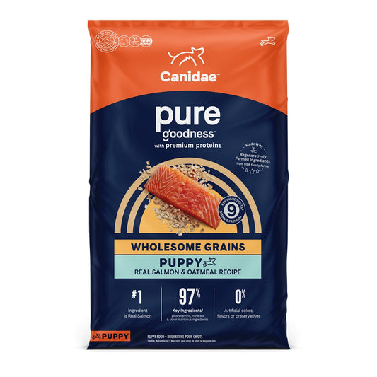 CANIDAE PURE Goodness w/Wholesome Grains Dry Puppy Food Salmon & Oatmeal 4lb