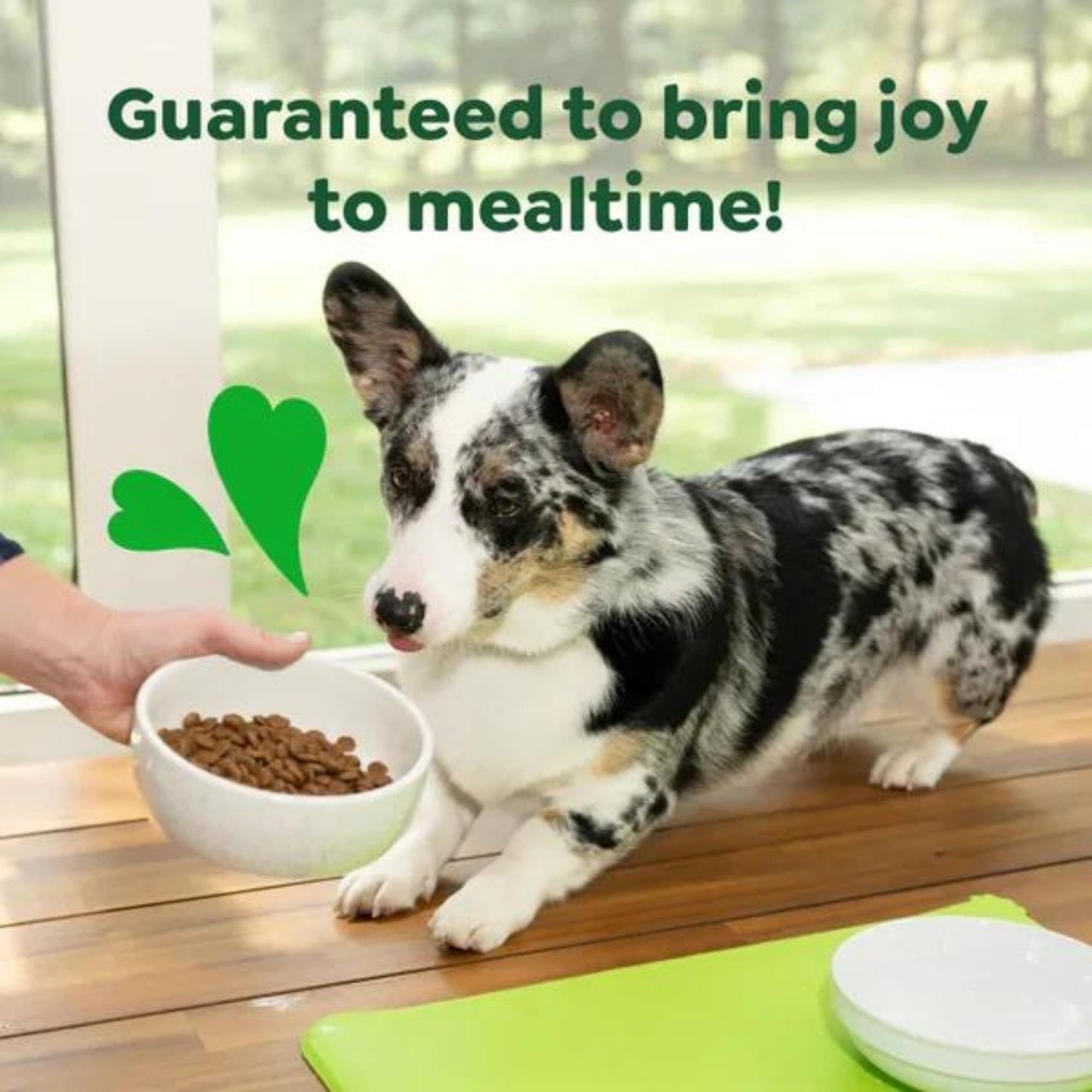 Greenies Smart Essentials Small Breed Dry Dog Food Chicken  Rice, 1ea/27 lb