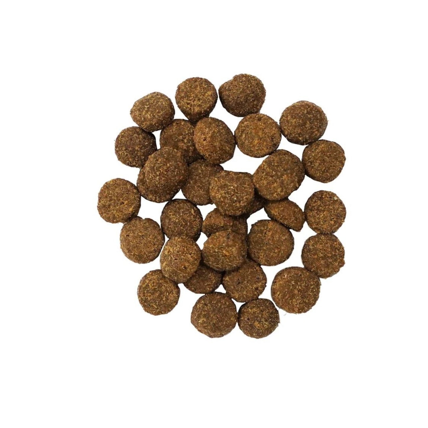 Go! Dog Digestion & Gut Health Salmon Ancient Grain 3.5Lb