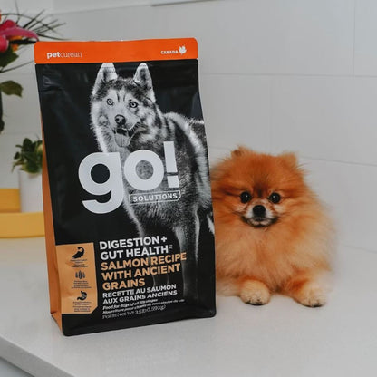 Go! Dog Digestion & Gut Health Salmon Ancient Grain 3.5Lb