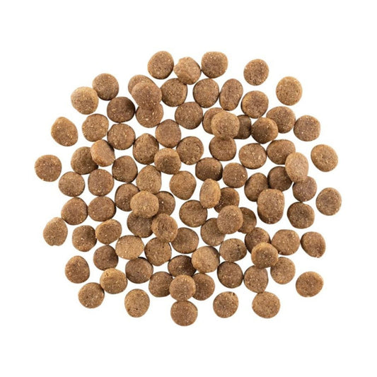 Go! Dog Weight Management & Joint Care Grain Free Chicken 22Lb