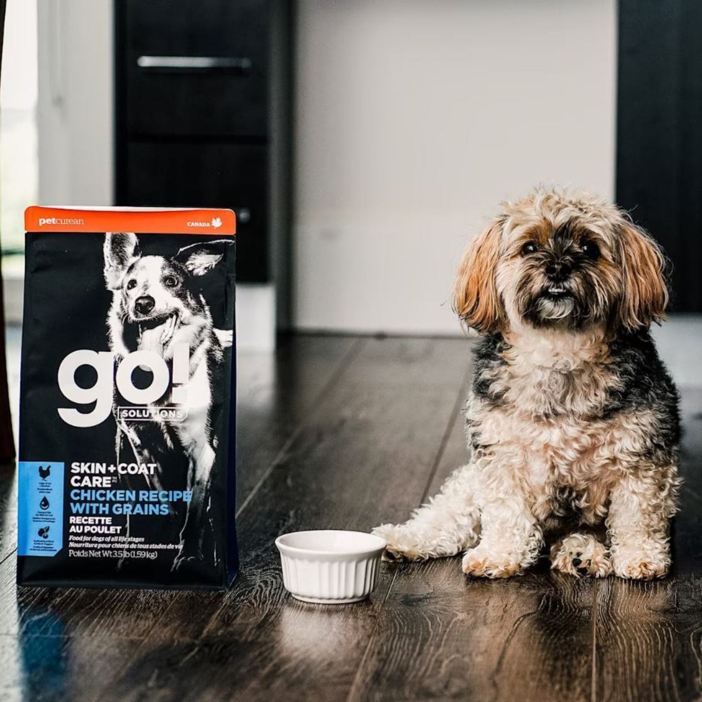 Go! Dog Skin & Coat Care Chicken With Grain 3.5Lb