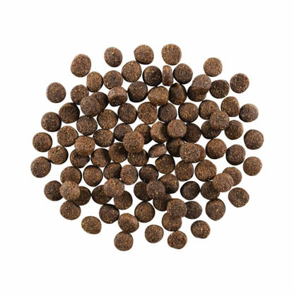 Go! Dog Skin & Coat Care Lamb With Grain 3.5Lb